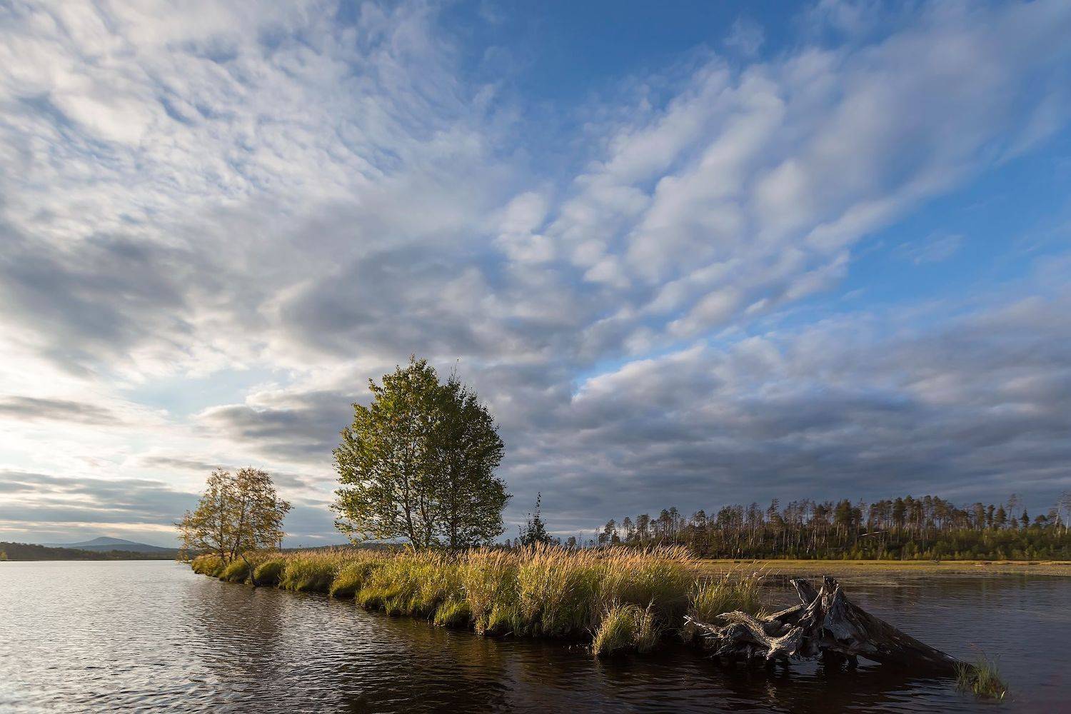 карелия, Ярослав Лукьянов