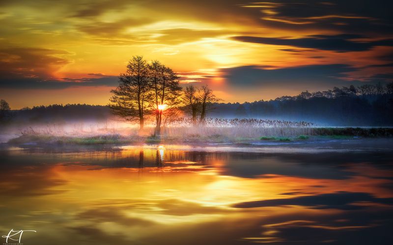 sunrise, golden dawn, fog, river, Gwda, landscape, nature, tree, atmosphere, reflection, sun, sky, clouds, sunlight, forest  фото превью