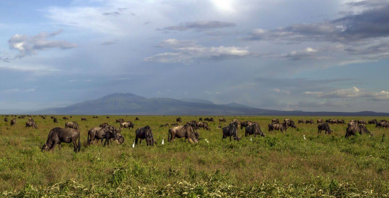танзания,нгоронгоро, Валентина Булкина