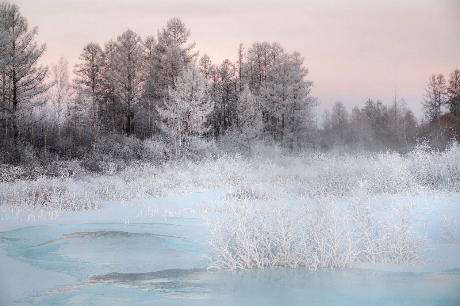 , Сергей Брагин