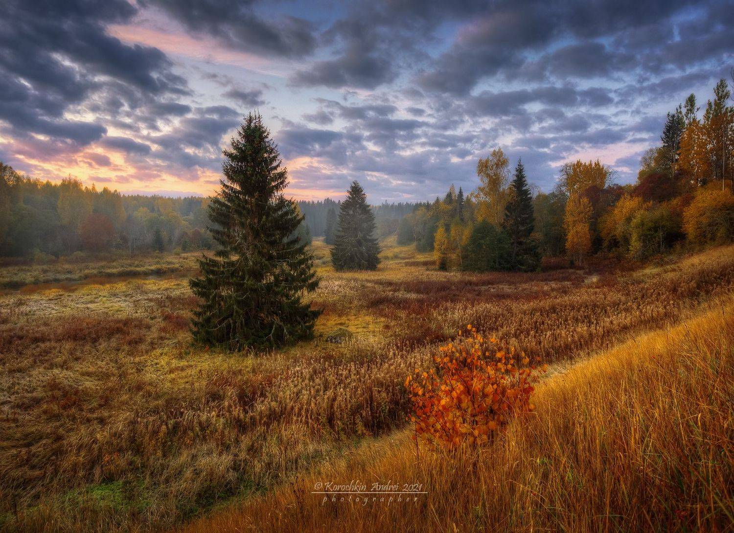 , Андрей Корочкин