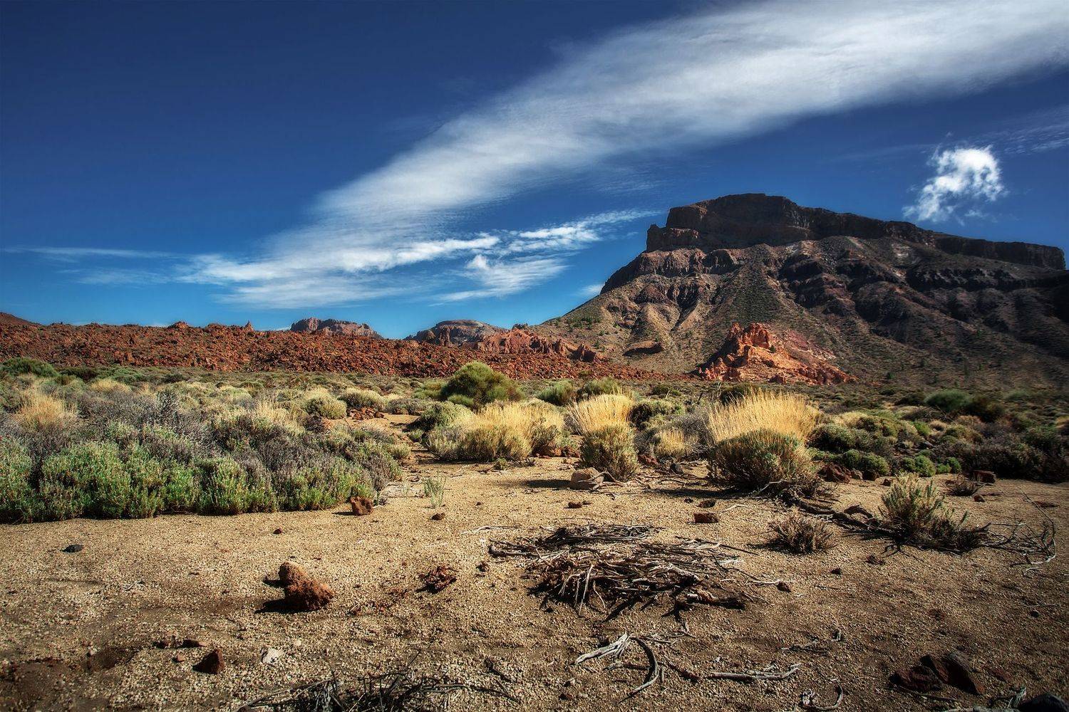 , Vyacheslav Lozhkin