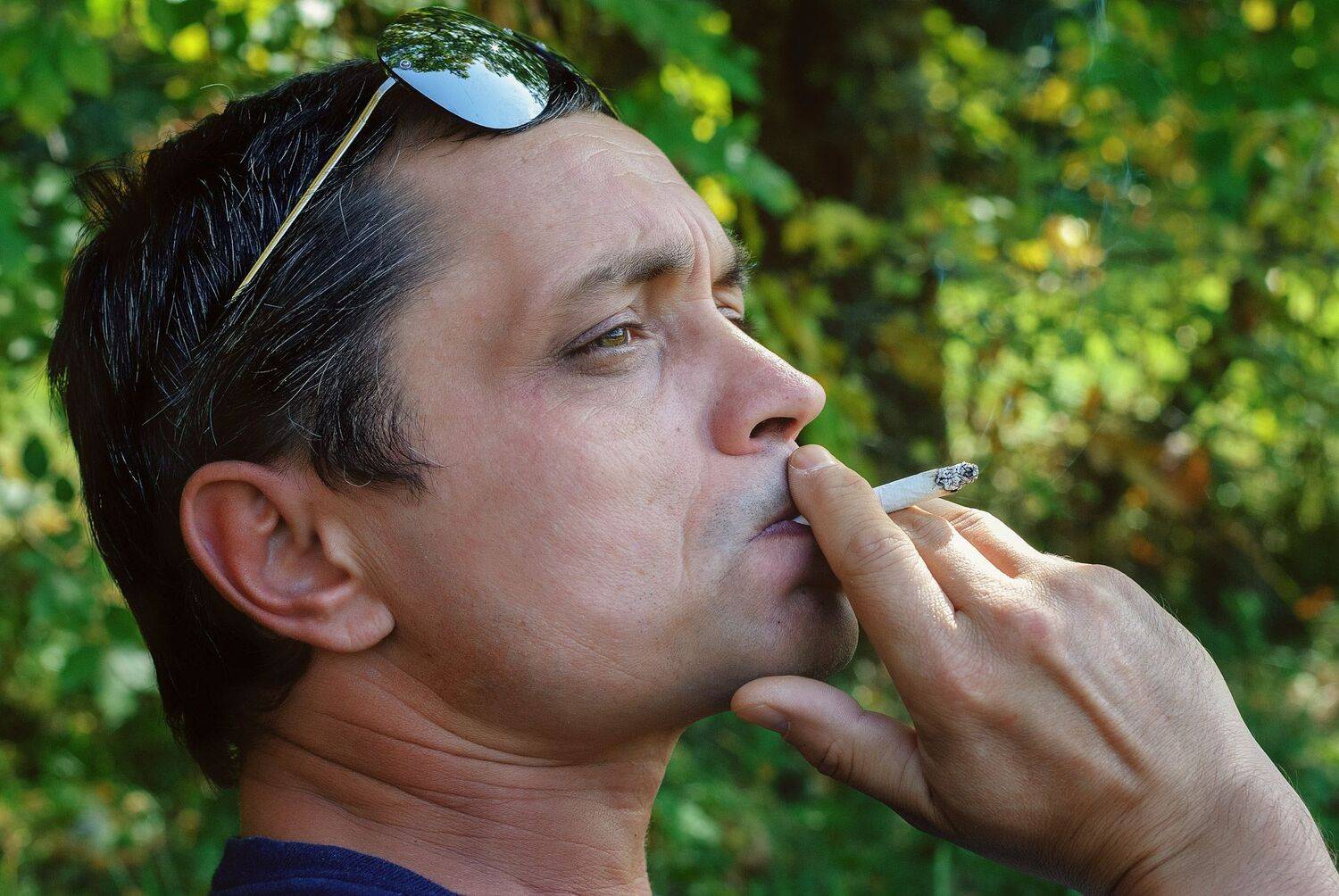 , Владимир Гамаюнов