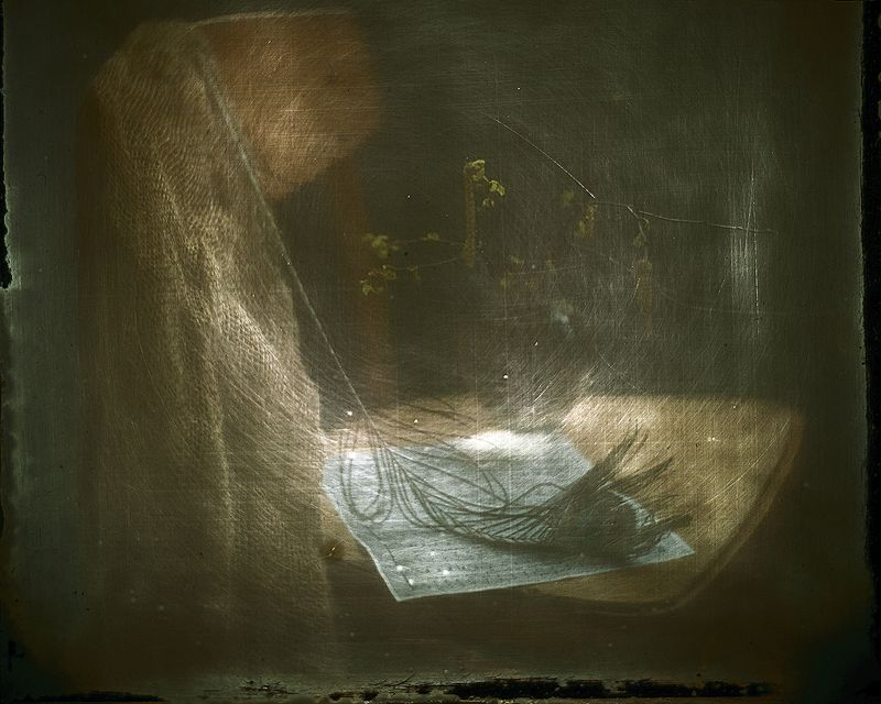 Весны несмелое звучание...и смелые ее шаги... фото превью