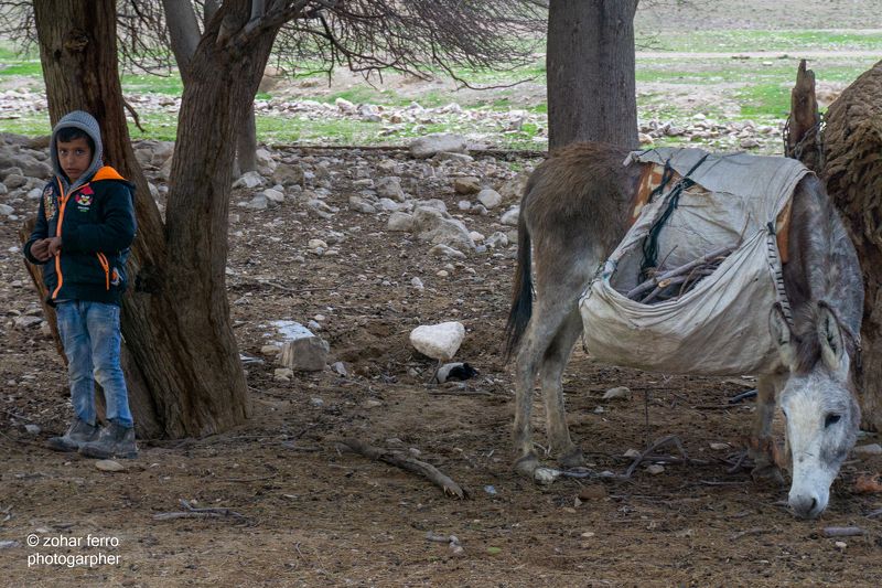 The Bedouin Child Project фото превью