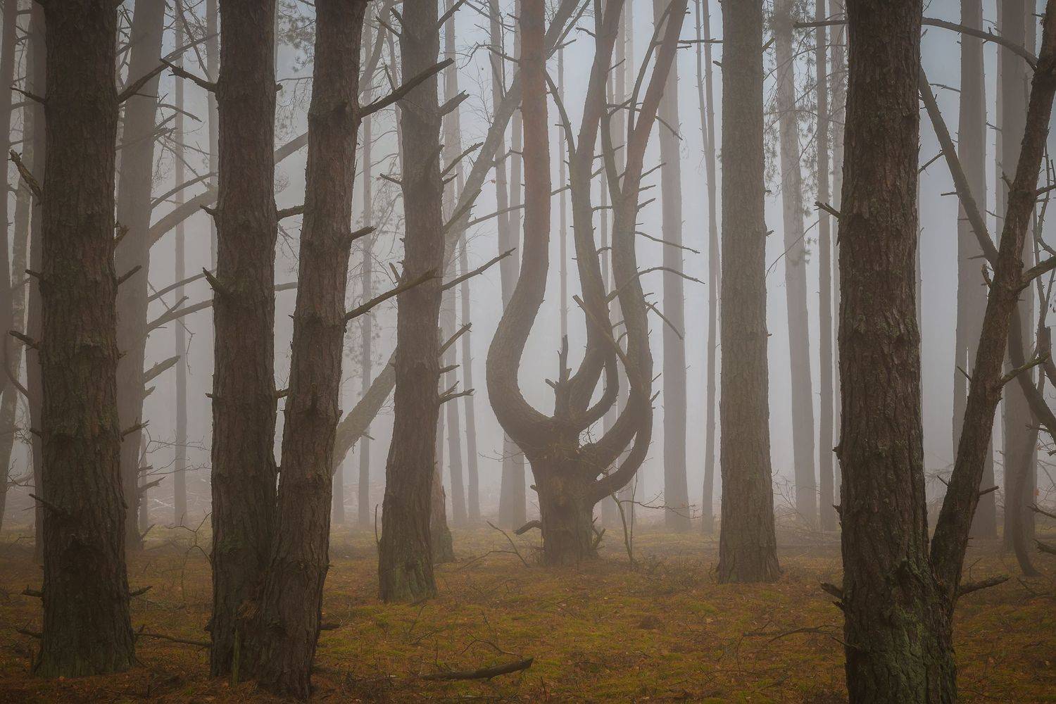 , Захаров Дмитрий