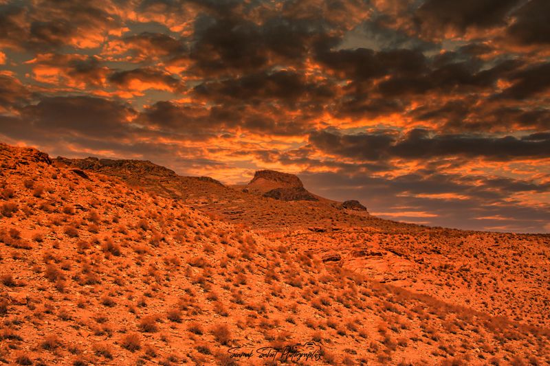 Golden Time фото превью