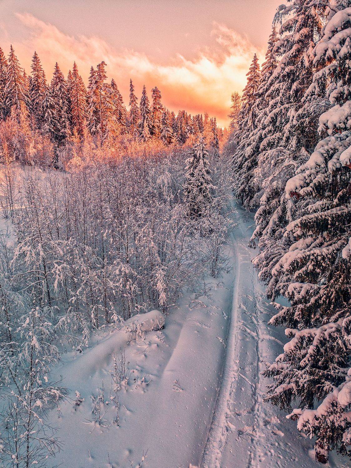 , Павел Жданов