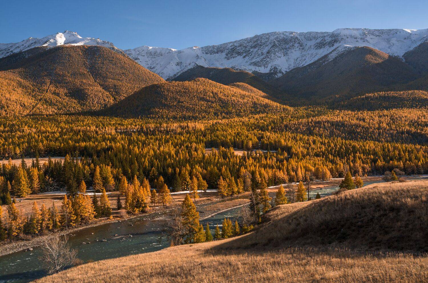 россия, горный алтай,осень, Андрей Поляков