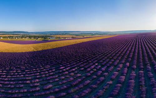 Крымский прованс
