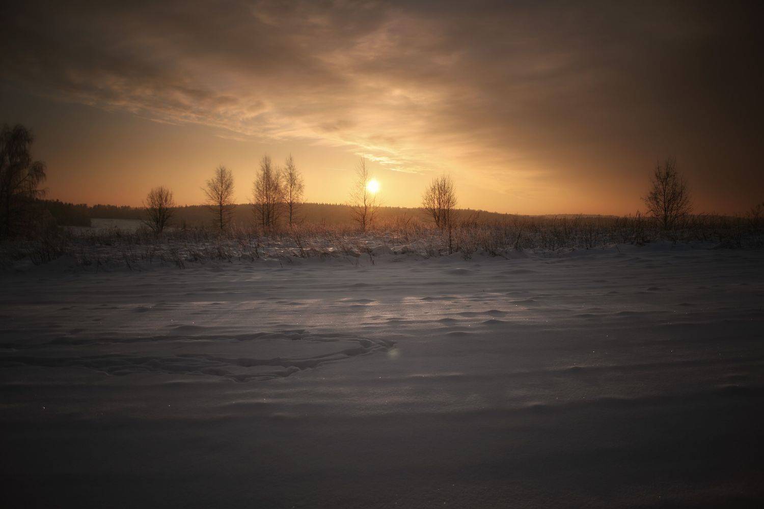 , Булатов Дмитрий