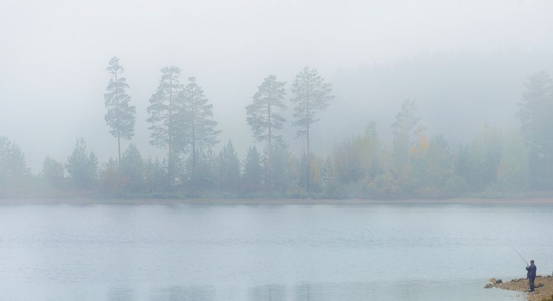 Туман. фото превью