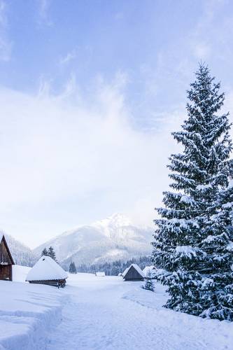 Snowy valley