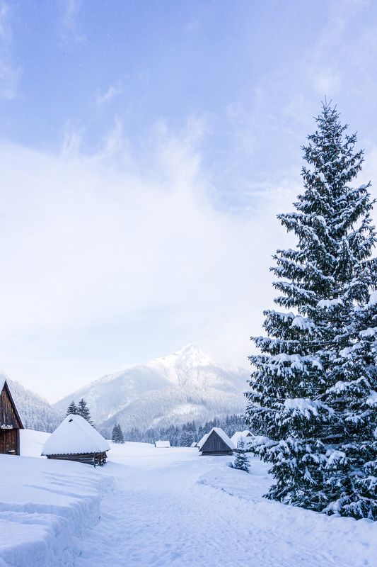 tatry, tatra, tatras, chochołowska, chocholowska, chochołów, chocholow, hala, dolina, valley, poland, polska, staw, pond, water, ice, mountain, forest, cold, winter, sun Snowy valley фото превью