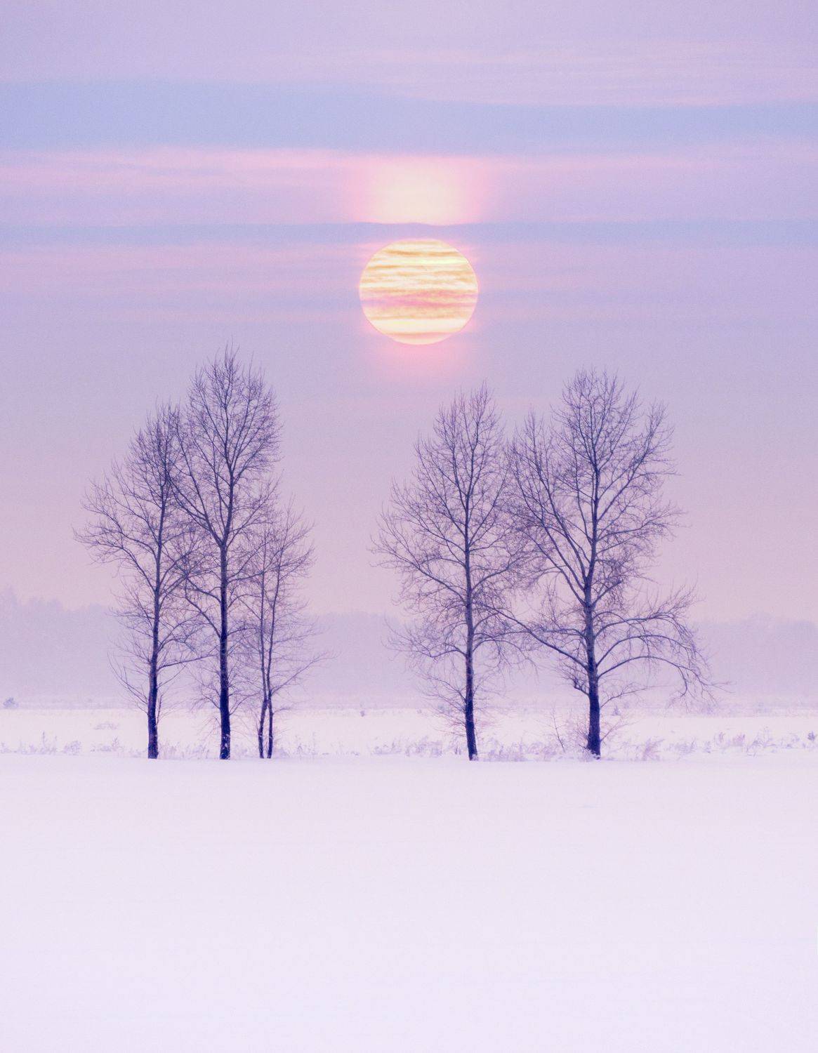 , Андрей Хаймин