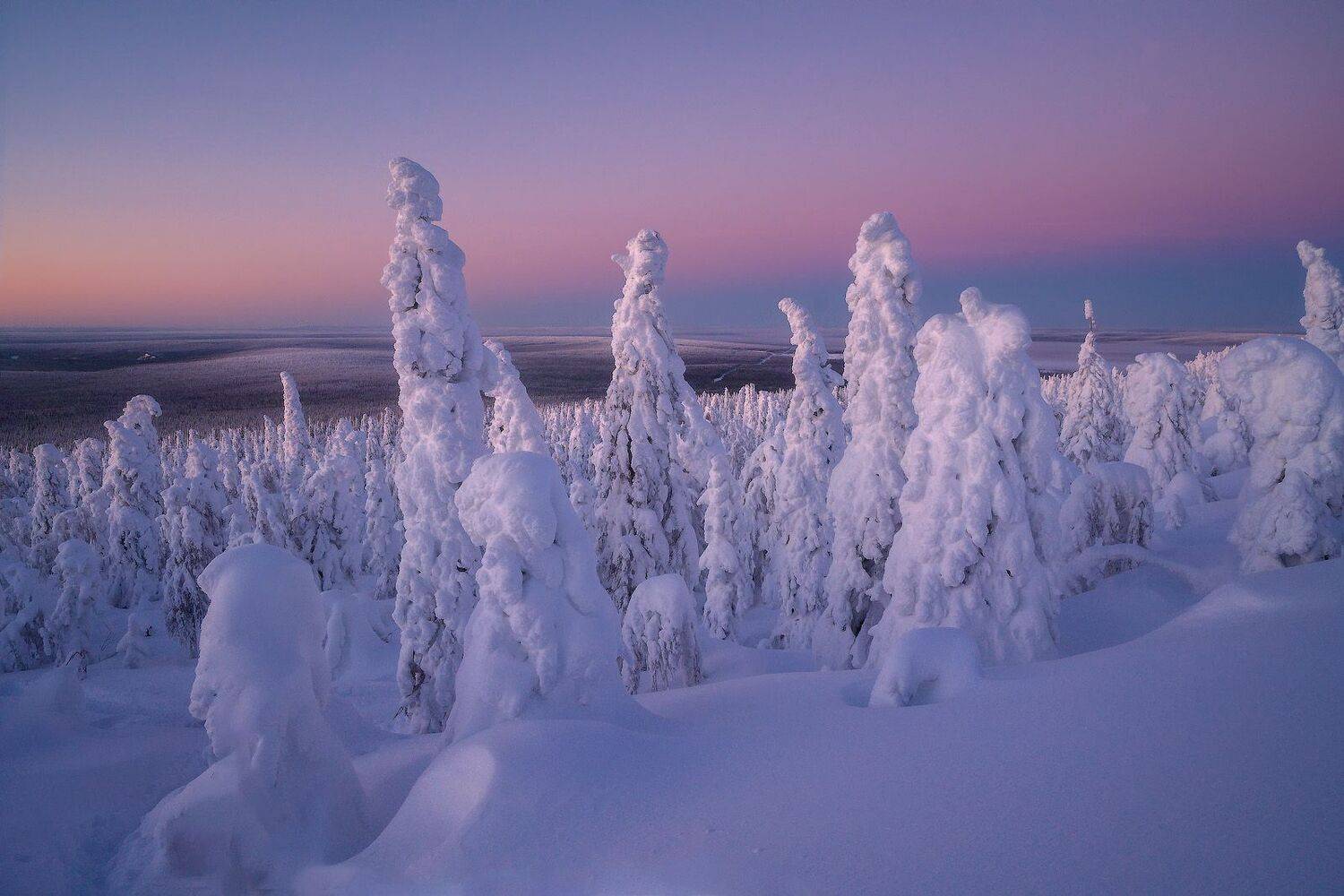 , Владимир Ляпин