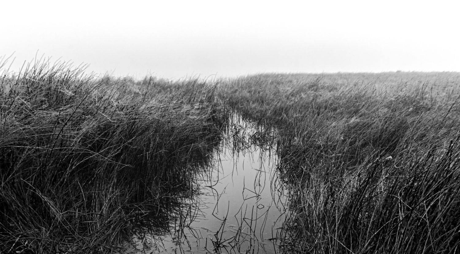 черно-белый пейзаж, Андрей Логвинович