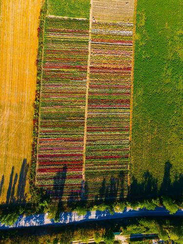Лето в Крыму