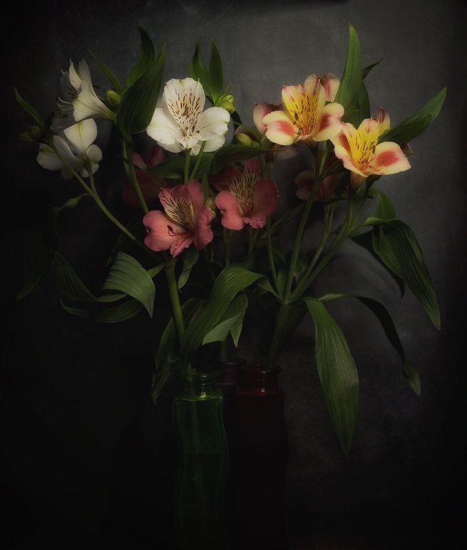 фото превью