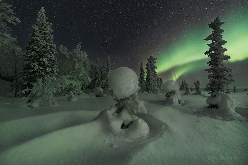 зима, кольский, север, снег, сугроб, деревья, северное сияние, аврора Да будет свет! фото превью