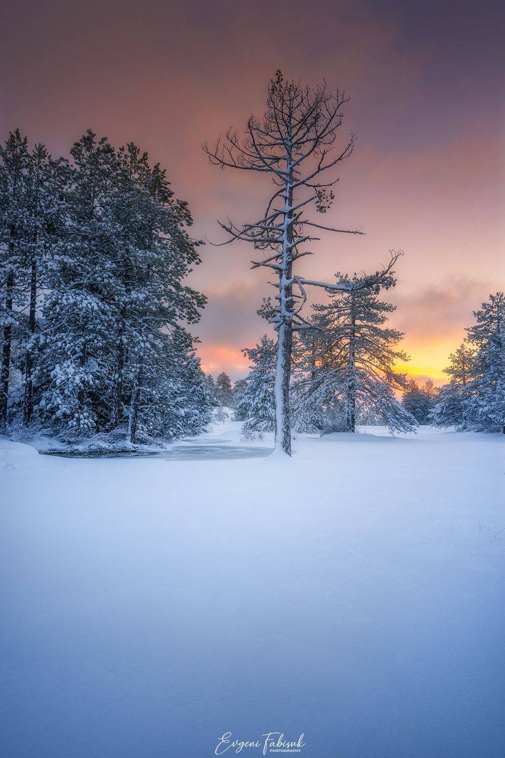 , Evgeni Fabis