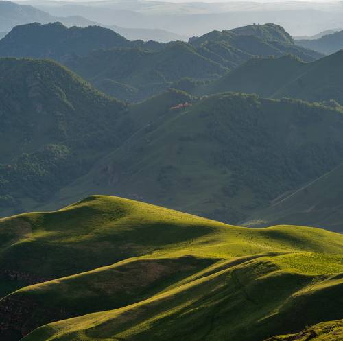 ЗЕЛЁНЫЕ ВОЛНЫ