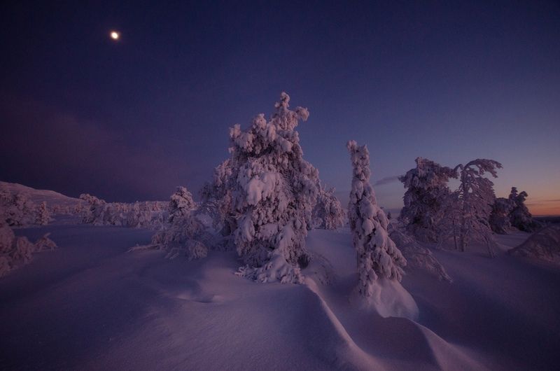 Кандалакша фото превью