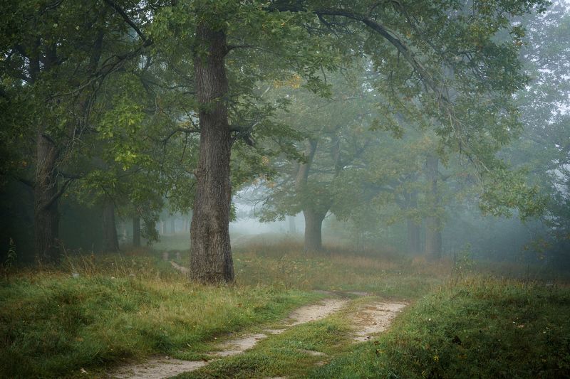 Тайный путь фото превью