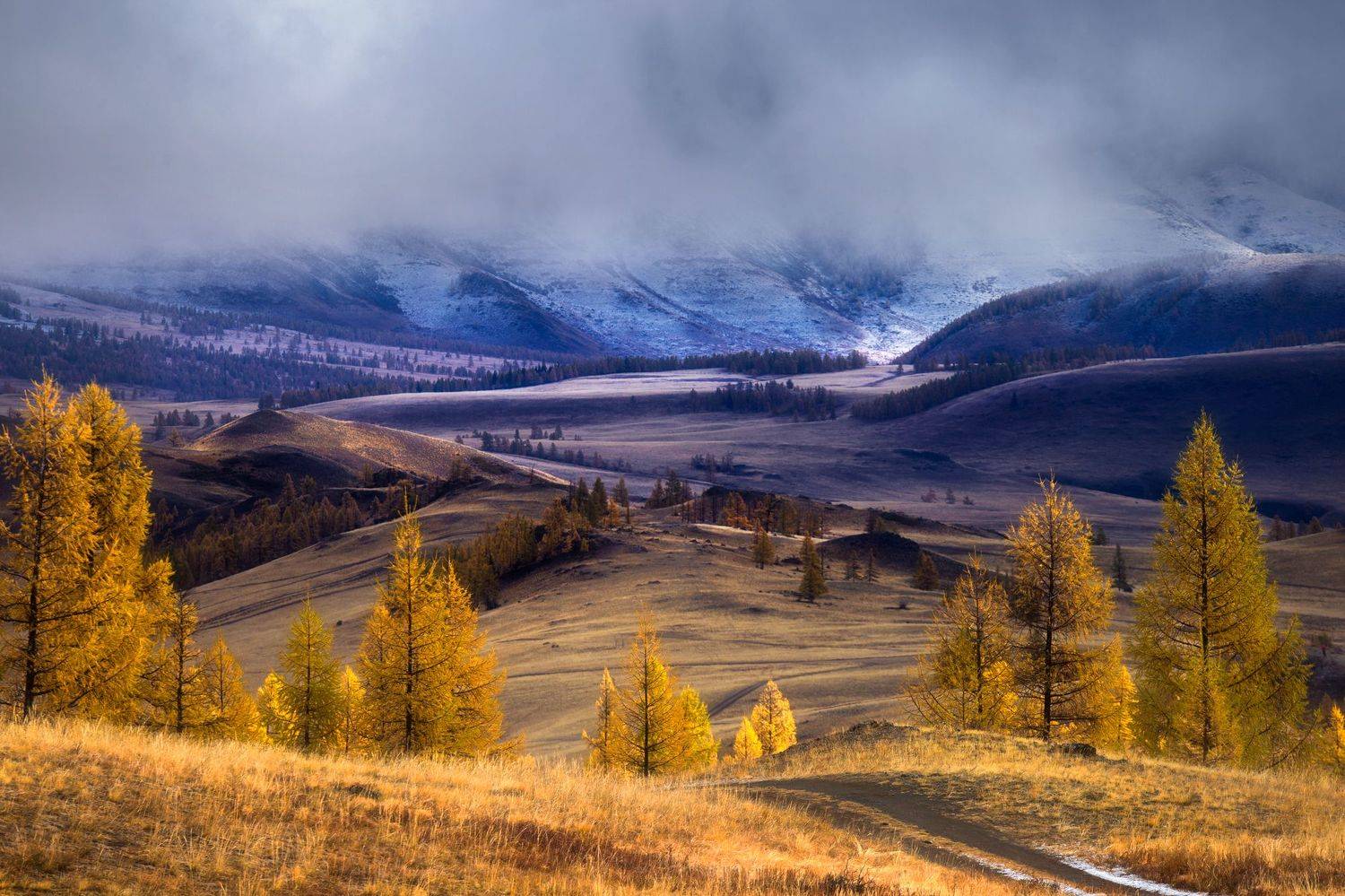 , Юрий Столыпин