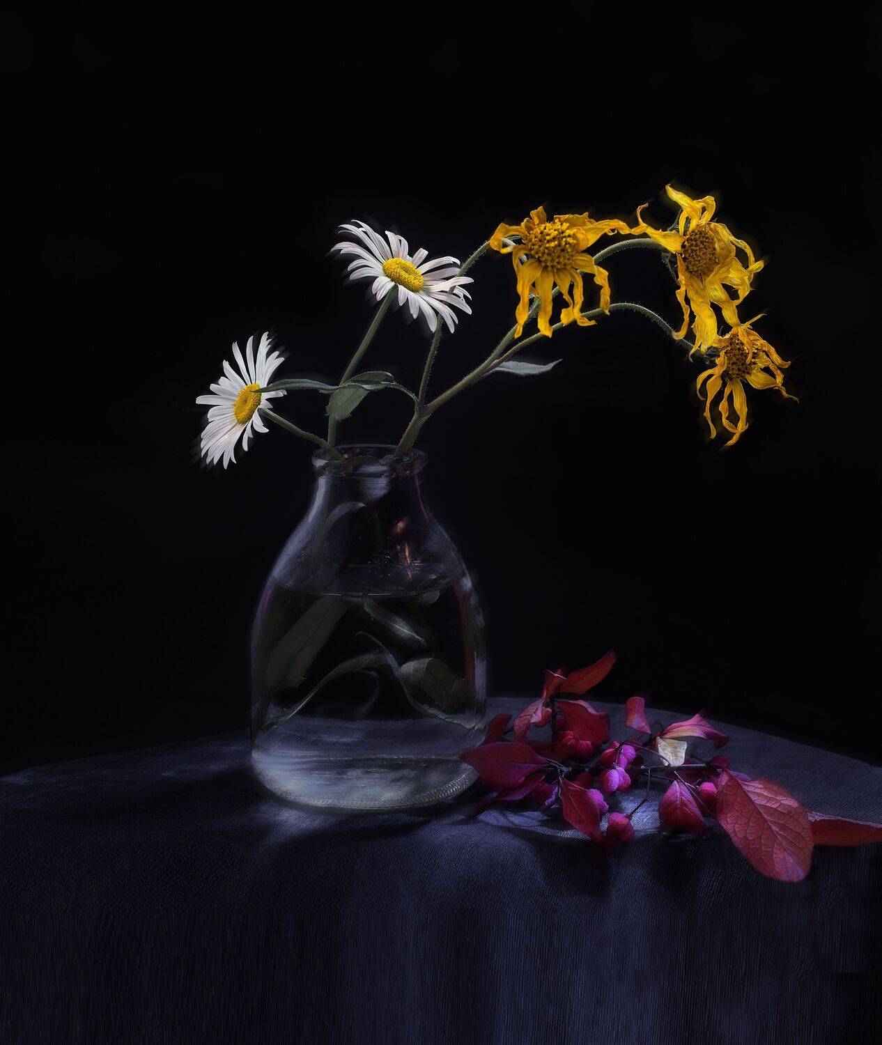 , Черновол Валентин