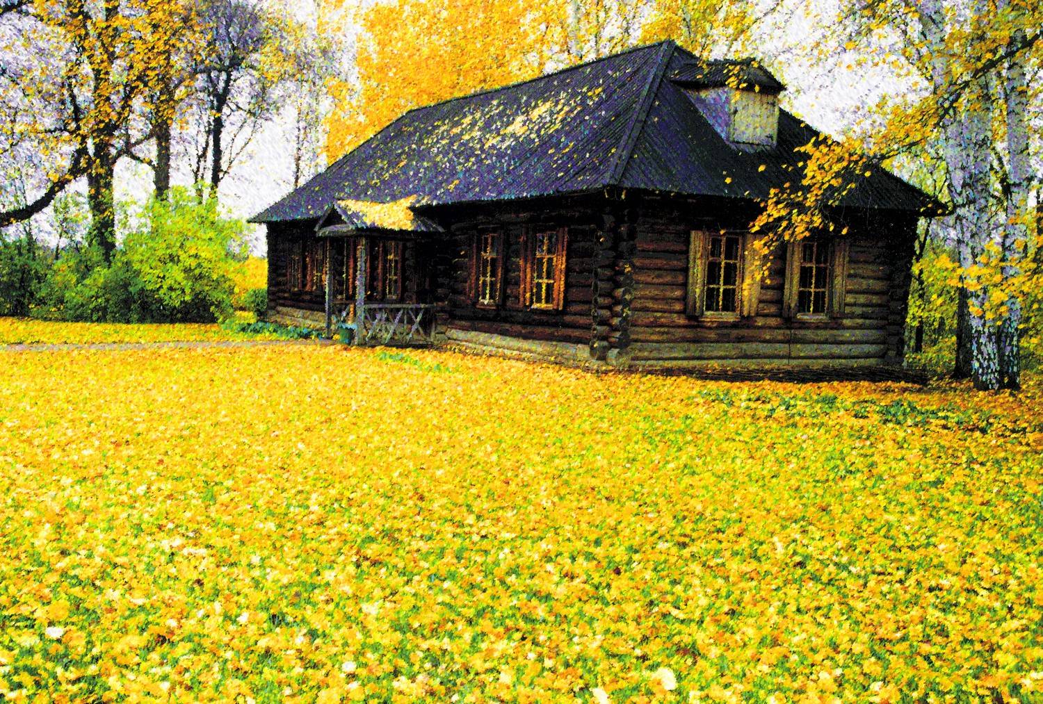 , Назаров Александр