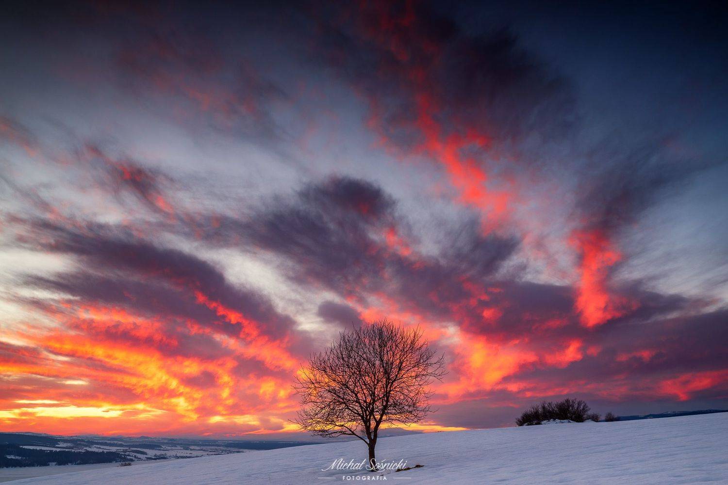 #tree #winter #sunset #sky #wood #nature #amazing #earth #pics #photo #best #poland #pentax #benro #haida #color, Michał Sośnicki