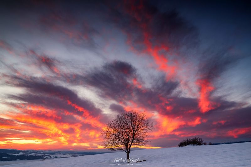 #tree #winter #sunset #sky #wood #nature #amazing #earth #pics #photo #best #poland #pentax #benro #haida #color Tree... фото превью