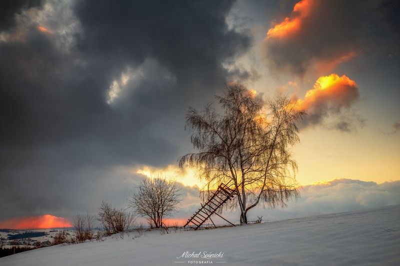 #poland #pentax #benro #lightroom #nikcollection #nature #sunrise #mountains #sky #fog #foggy #morning #pix #trees #sun #forest Stairway to heaven... фото превью