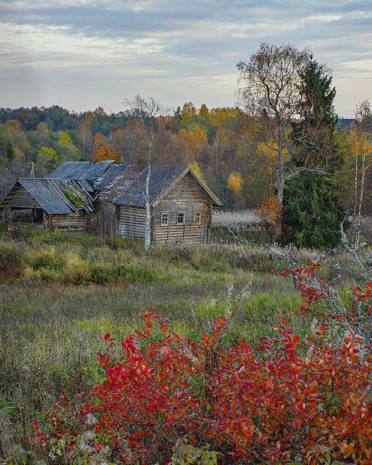 , Петр Косых