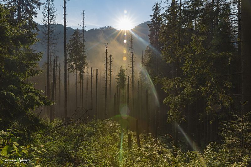 Постапокалипсис фото превью