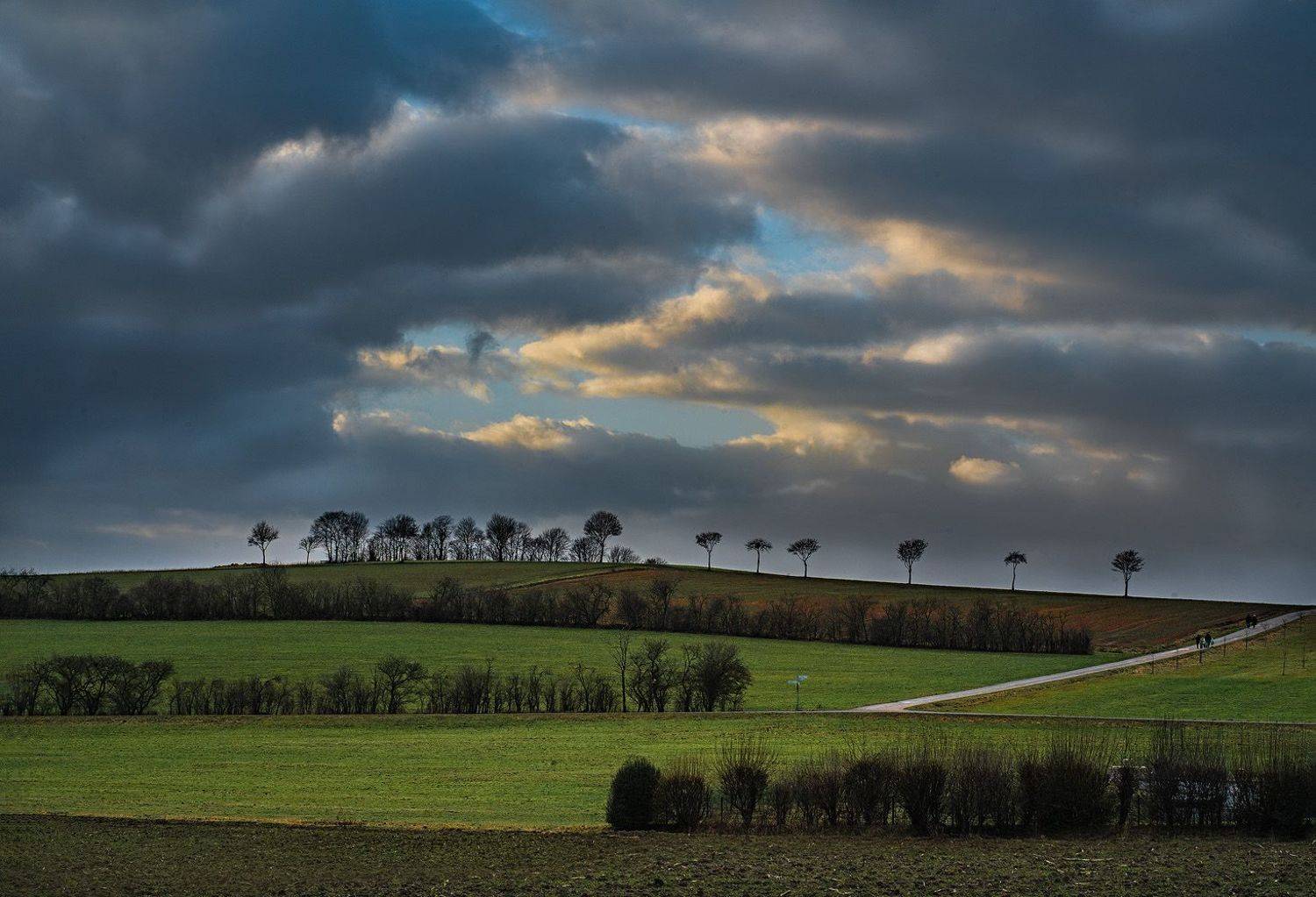 sky, landscape, field, nature, grass, green, clouds, cloud, meadow, summer, blue, storm, sun, rural, tree, agriculture, sunset, spring, horizon, weather, land, country, farm, countryside, sunlight, Анжелика Костин