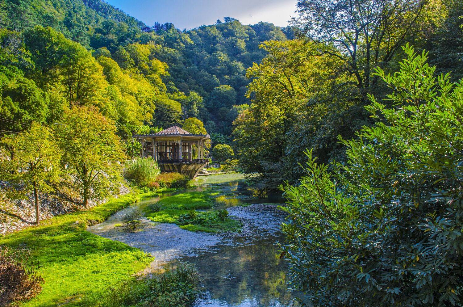 , Александр Березуцкий