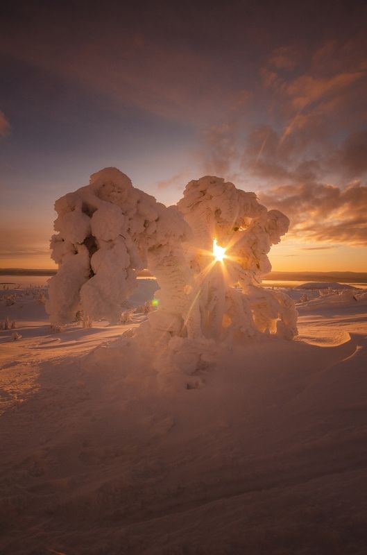 Кандалакша фото превью