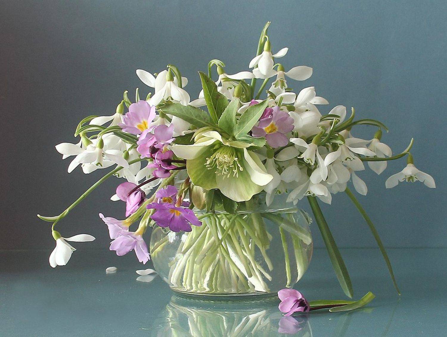 натюрморт, цветы, подснежники, весна, морозник, марина филатова, Марина Филатова