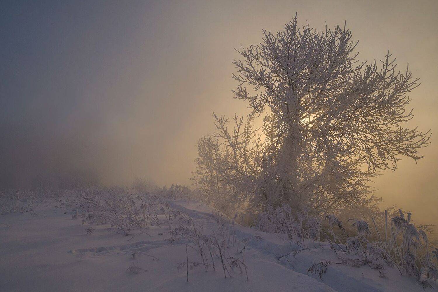 утро, рассвет, зима, косая гора, Михаил Агеев