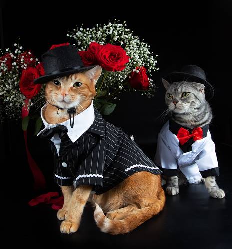 Happy Valentine's Day! С Днём Святого Валентина!