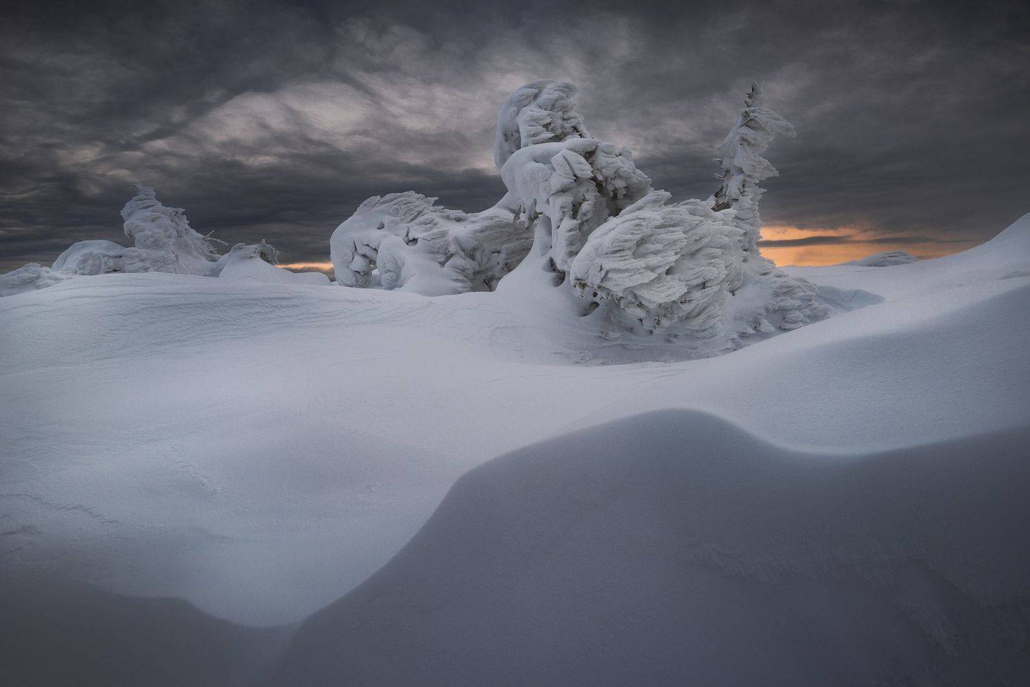 , Szabo Zsolt Andras