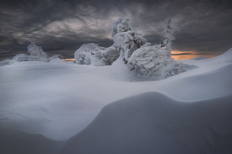 Crackling weights фото превью