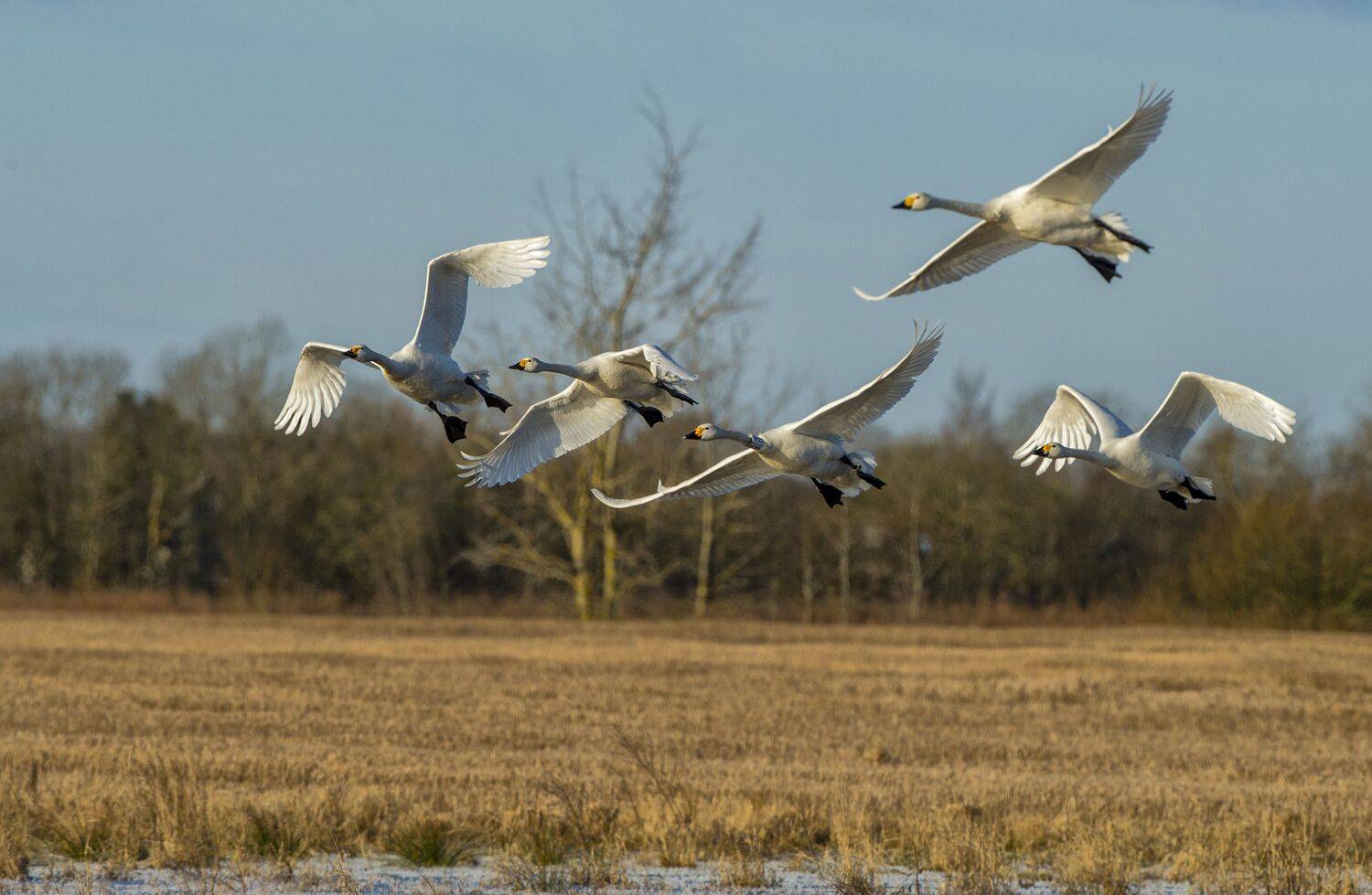 , Юрий Кулаков