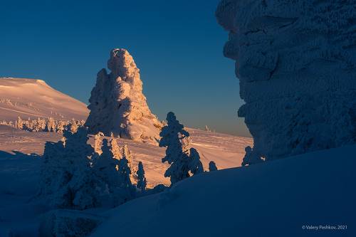 Знакомство с «Верблюдами»
