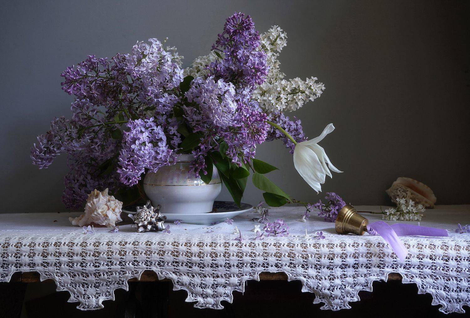 , Колеснева Елена