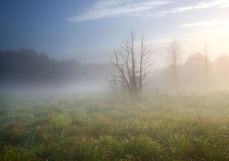 morning moods ... фото превью