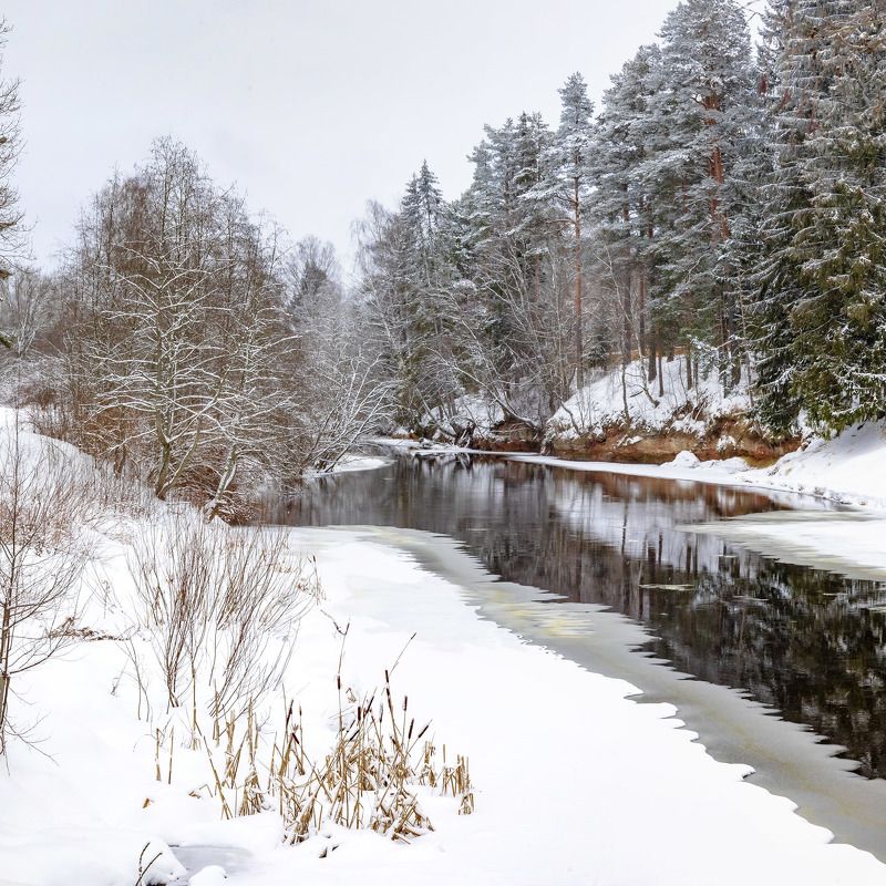 пейзаж, зима, река, природа, день У зимней реки фото превью