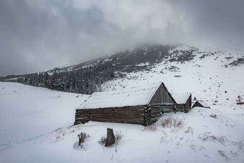 Головческа